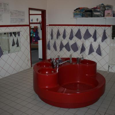 Img 36221